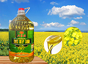 5L/